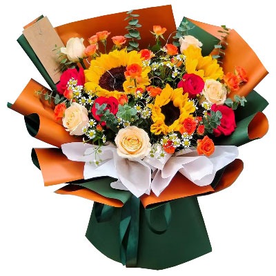 ���ݹ���������